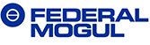 federal-mogul.jpg